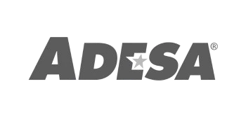 PP-Adesa